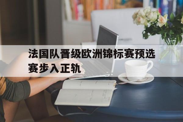 法国队晋级欧洲锦标赛预选赛步入正轨
